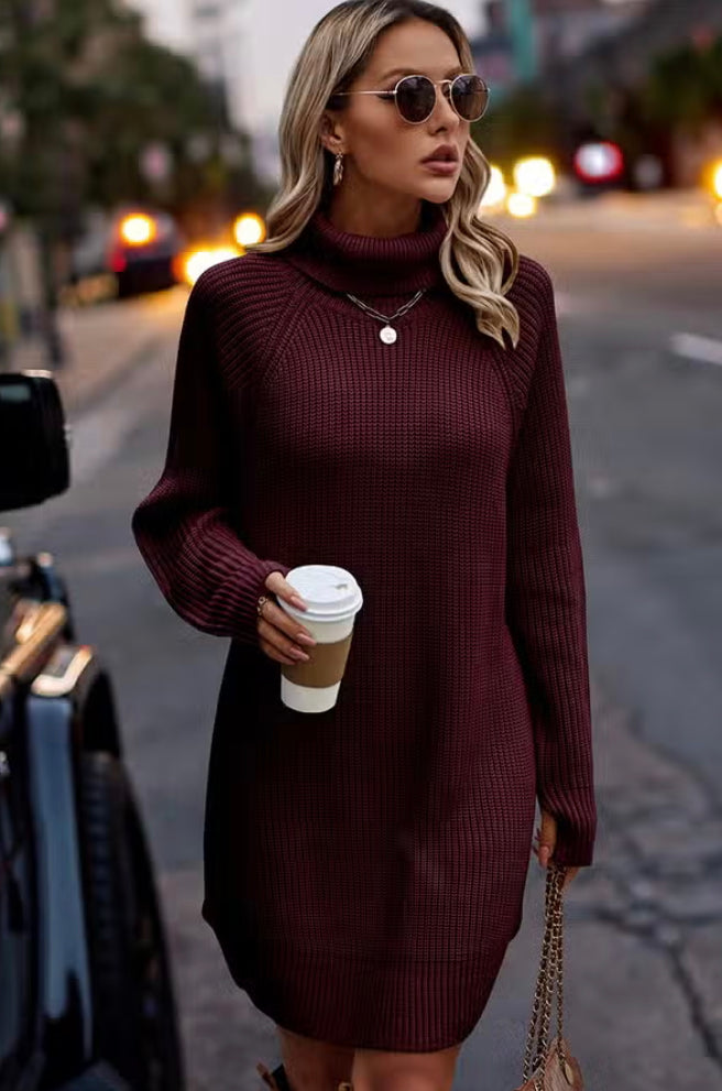 Wine Sweater Dress