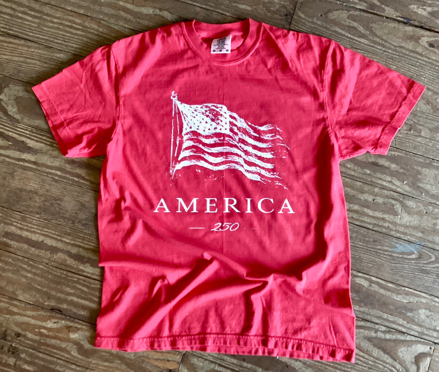 Red American Flag Tee