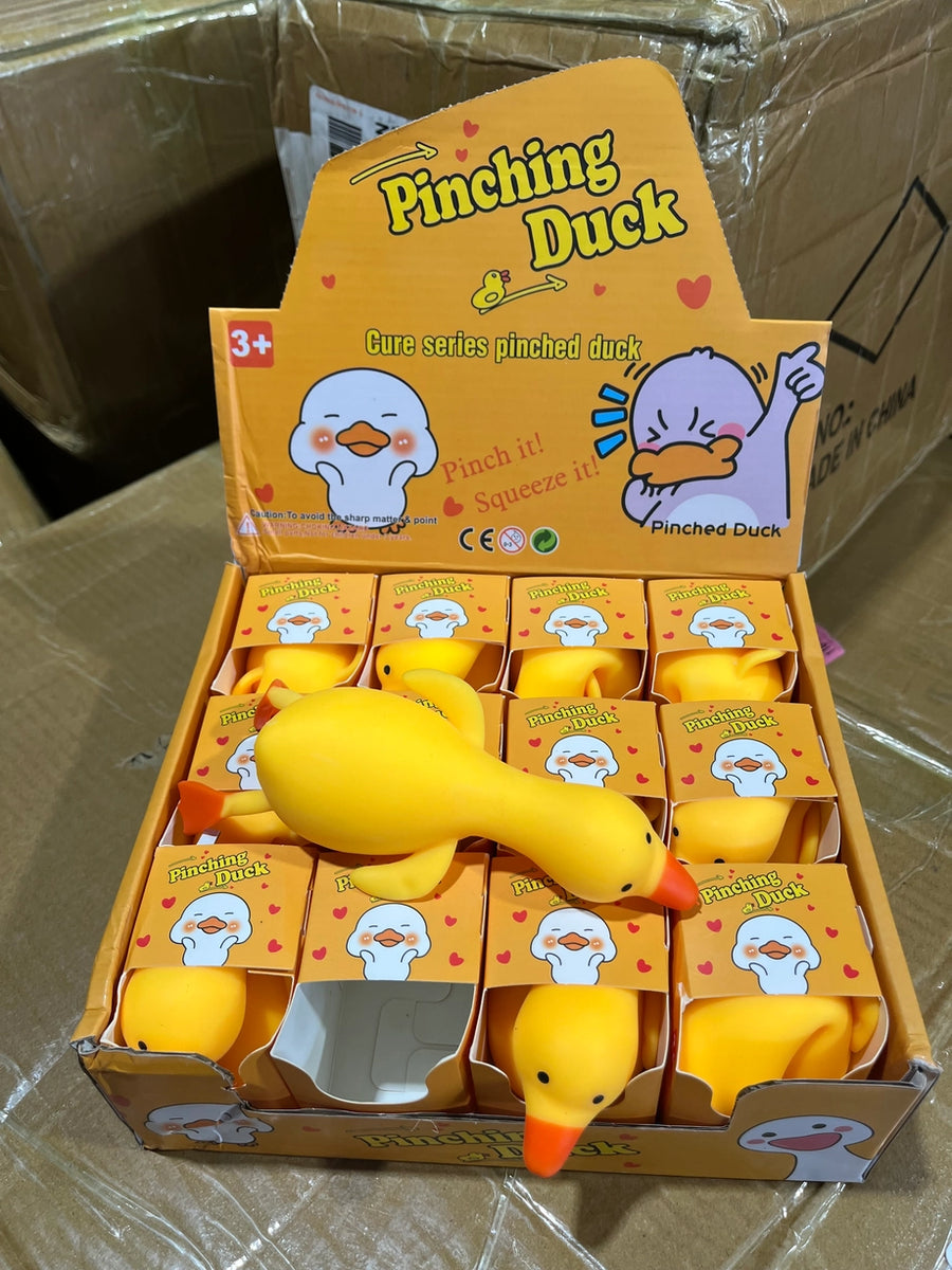 SILLY DUCK SQUISHY