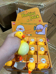 SILLY DUCK SQUISHY