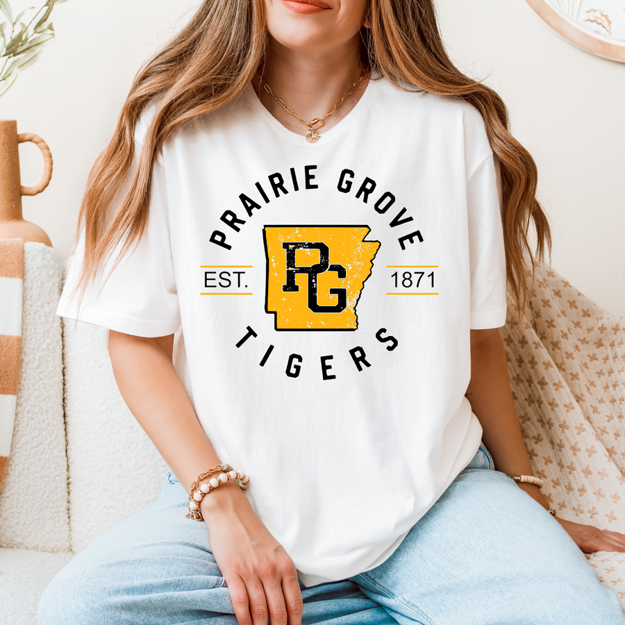 Adult Tigers - T51