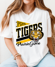 Adult Tigers - T14