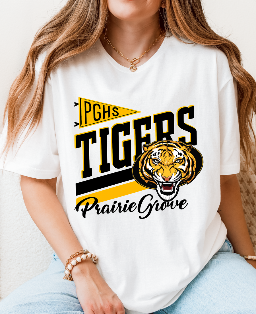 Adult Tigers - T14