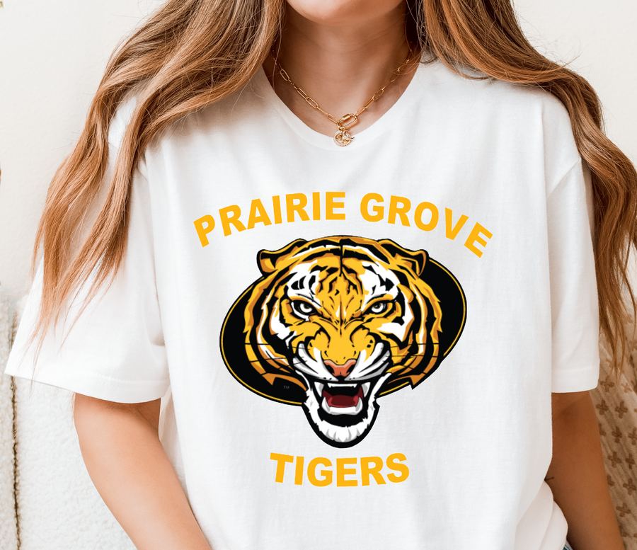 Youth Tigers 66