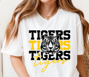 Youth Tigers 9
